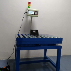 BTW-306 intelligent semi-automatic roller scale