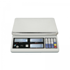 BT419C weight scale