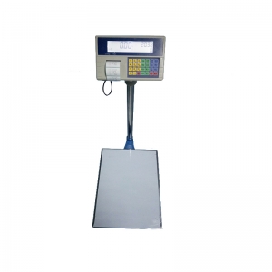 BTW01 precision scales